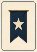 Star Flag Print