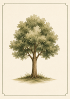 Tree Print
